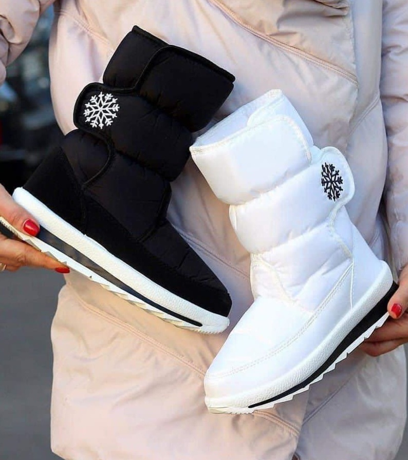 зображення_viber_2023-10-29_13-41-34-577