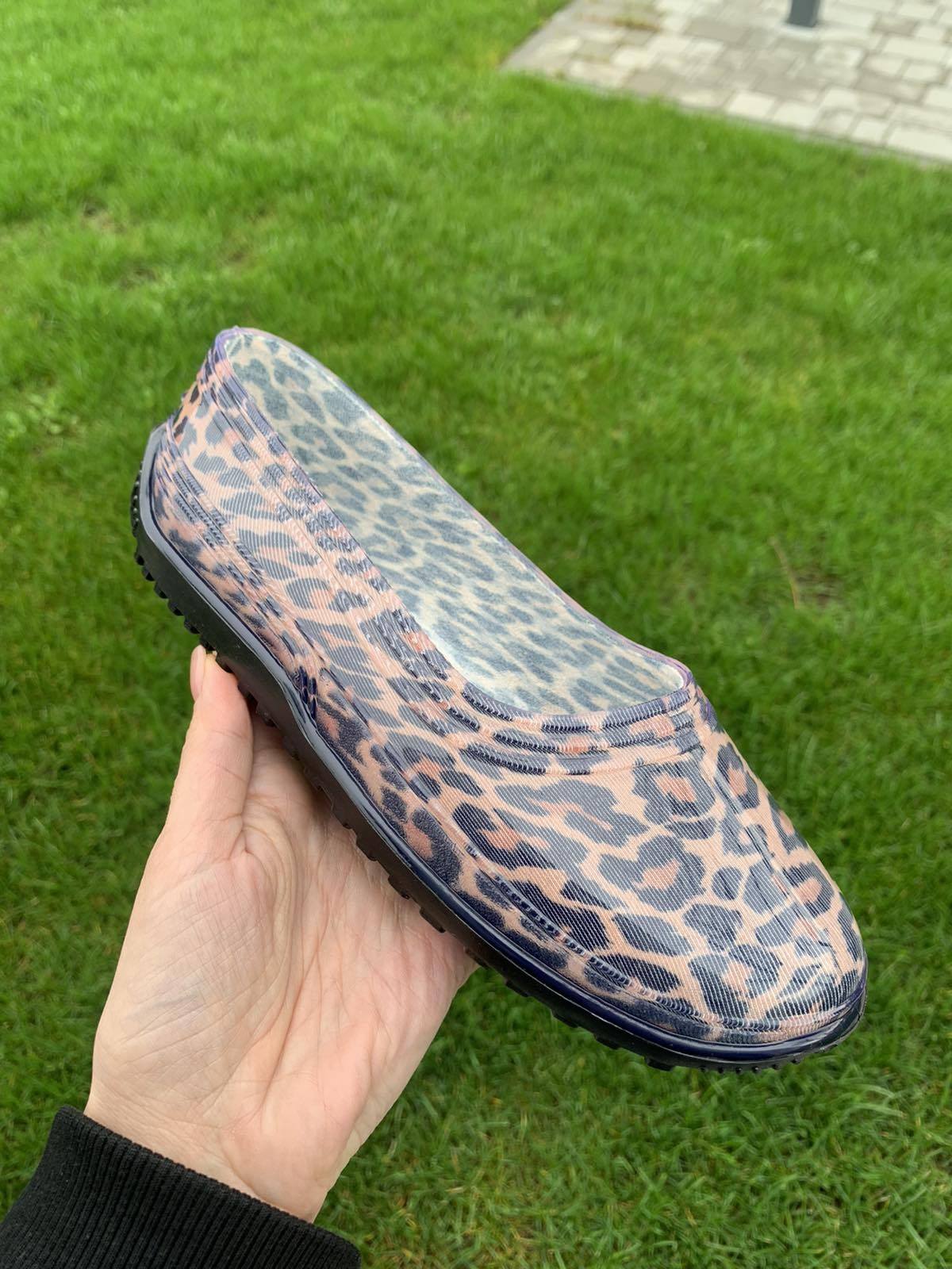 зображення_viber_2023-04-22_09-27-08-285